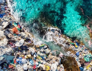 Tác hại của rác thải nhựa đến môi trường và sự sống con người